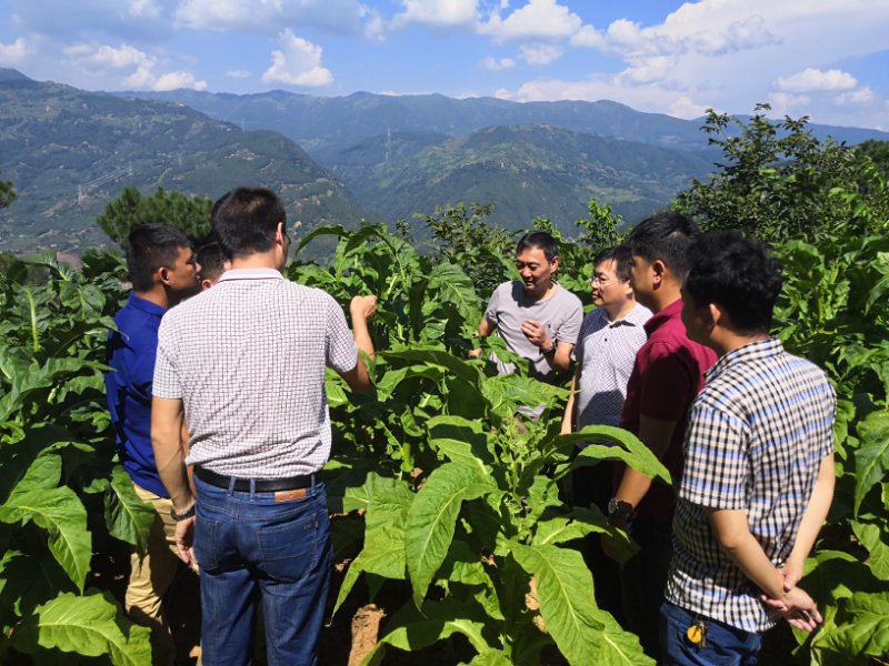 德州扑克小游戏