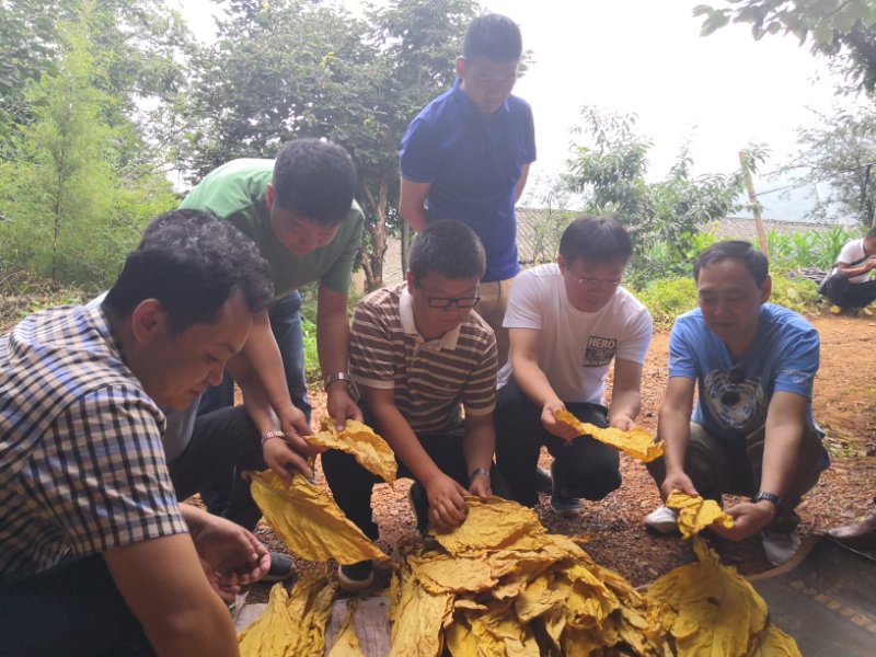 德州扑克小游戏