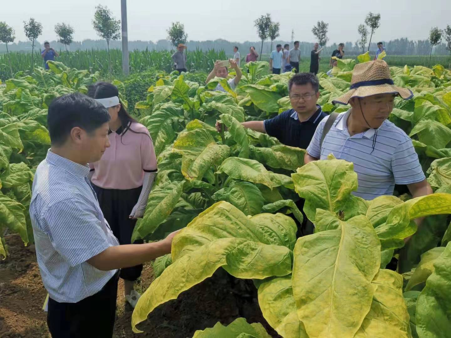 德州扑克小游戏