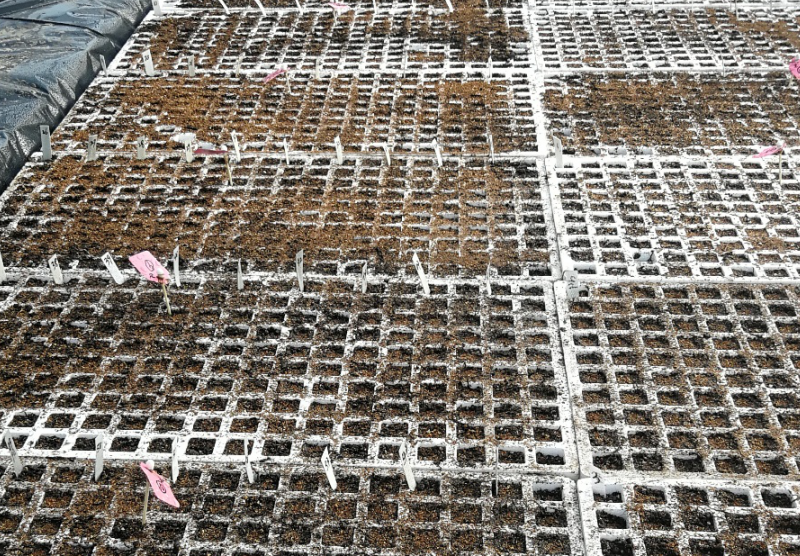 德州扑克小游戏