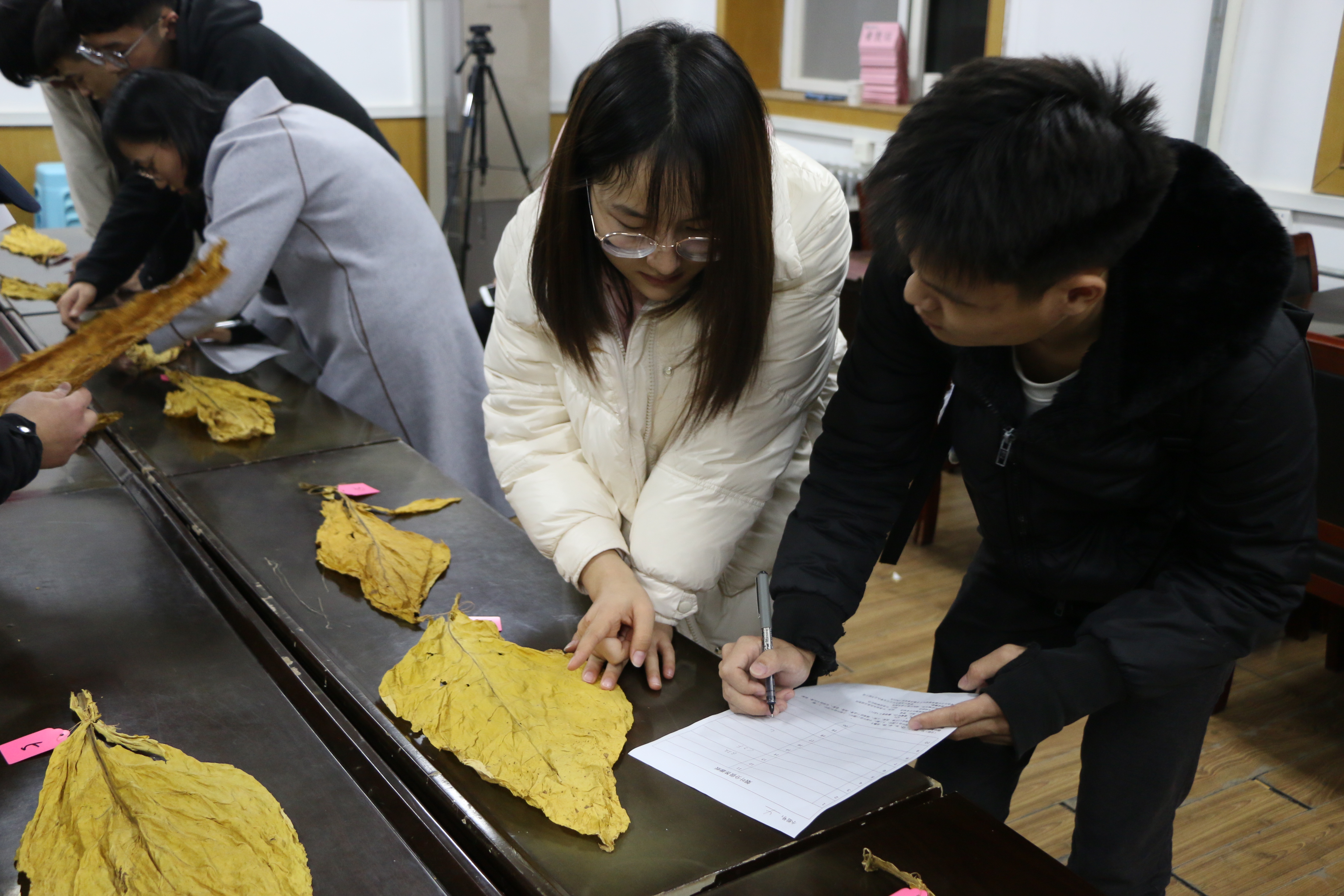 德州扑克小游戏