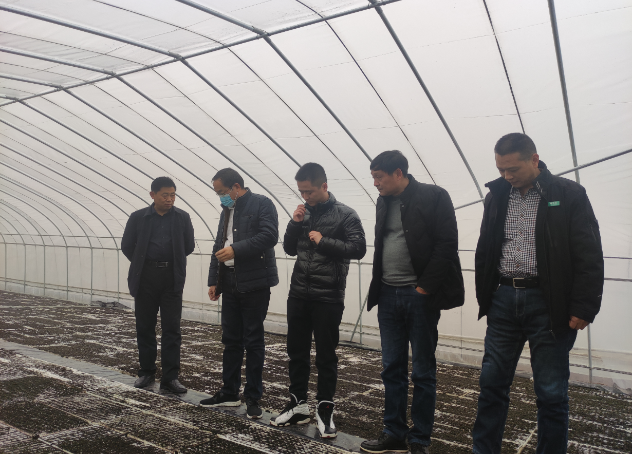 德州扑克小游戏