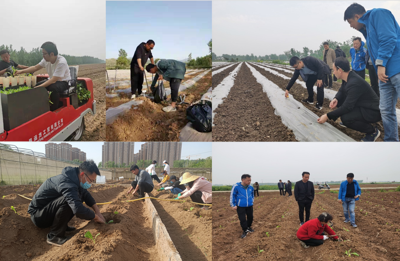 德州扑克小游戏