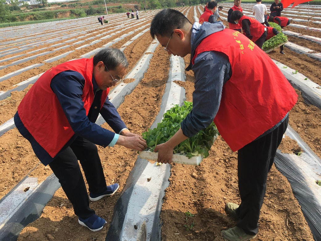 德州扑克小游戏