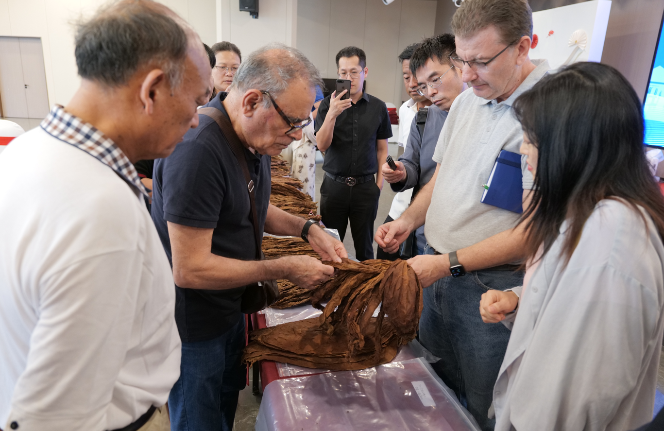 德州扑克小游戏