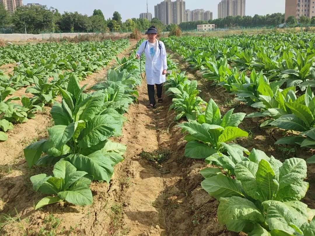 德州扑克小游戏