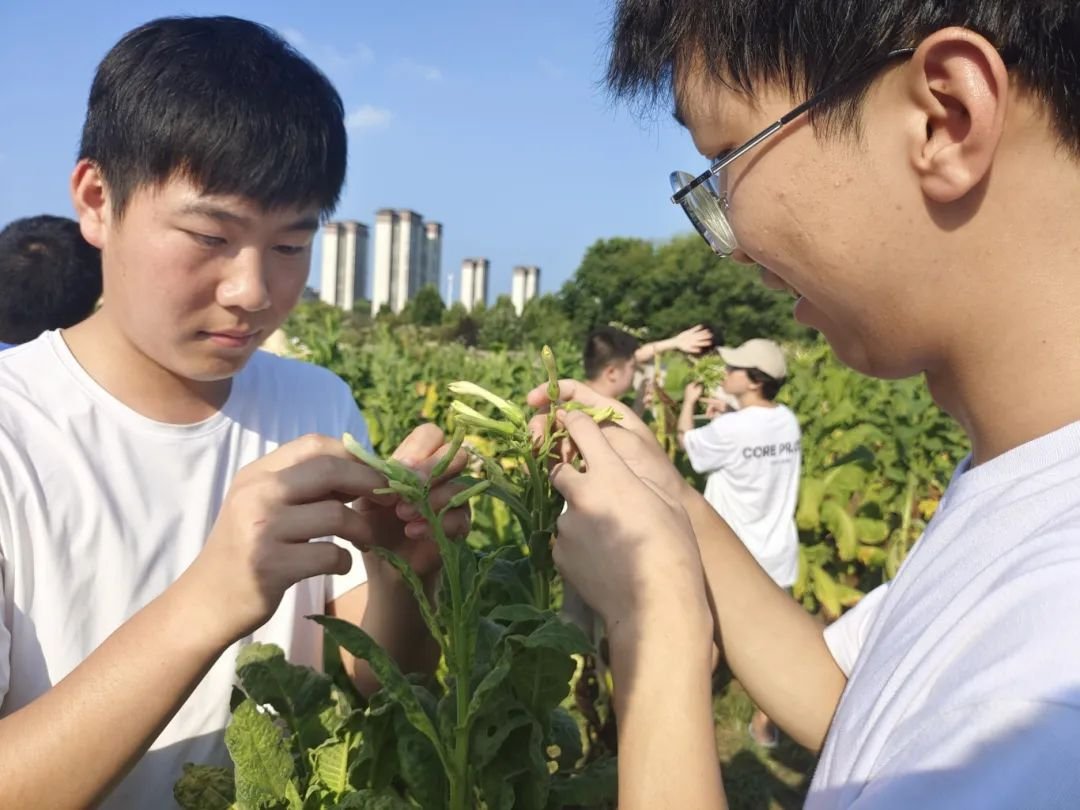 德州扑克小游戏