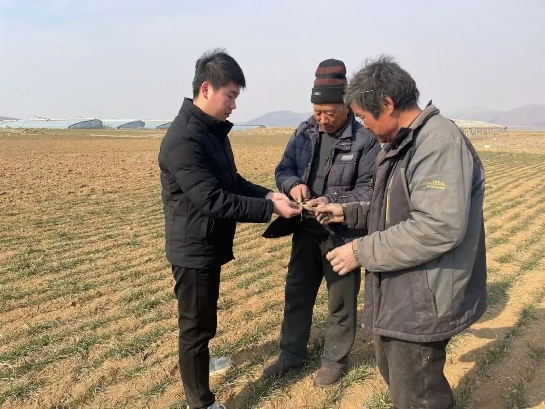 德州扑克小游戏