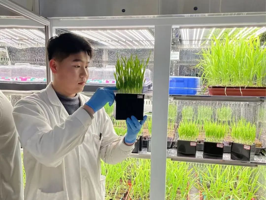 德州扑克小游戏