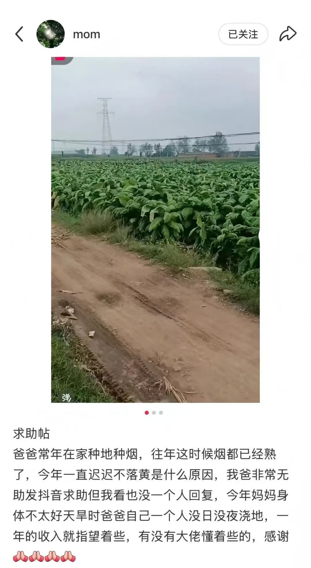 德州扑克小游戏