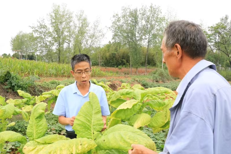 德州扑克小游戏