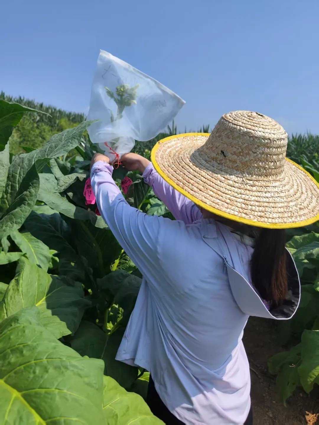 德州扑克小游戏