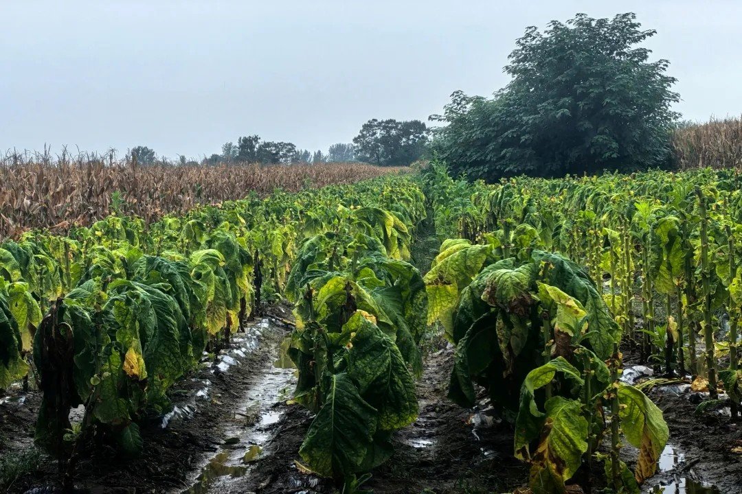 德州扑克小游戏