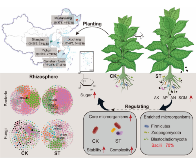 德州扑克小游戏