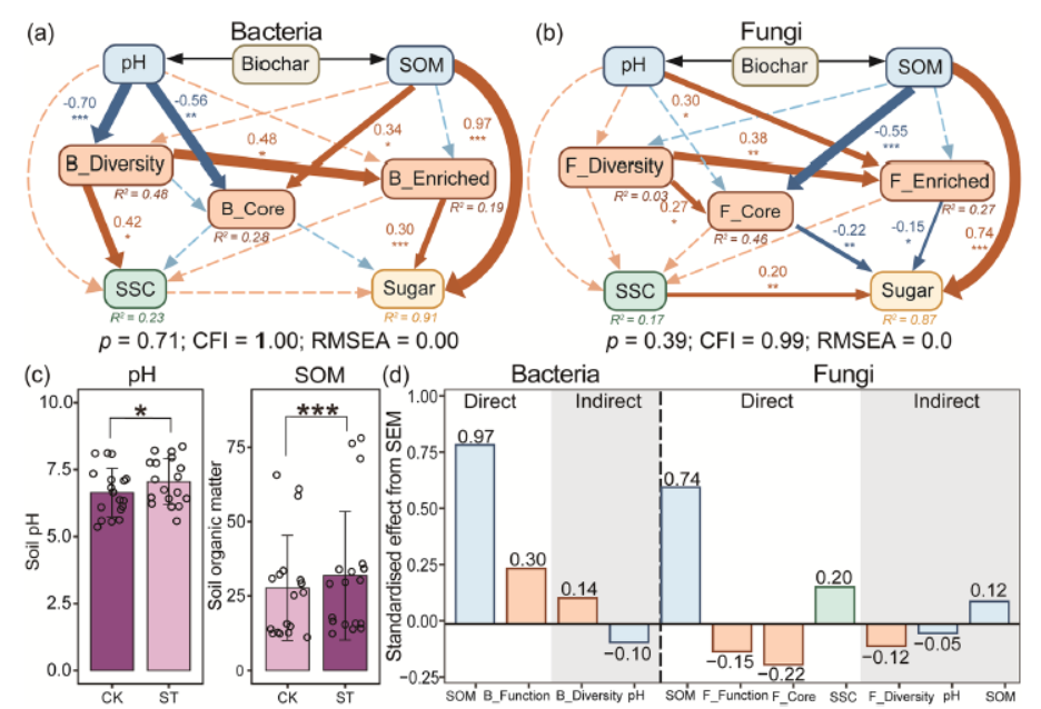 德州扑克小游戏