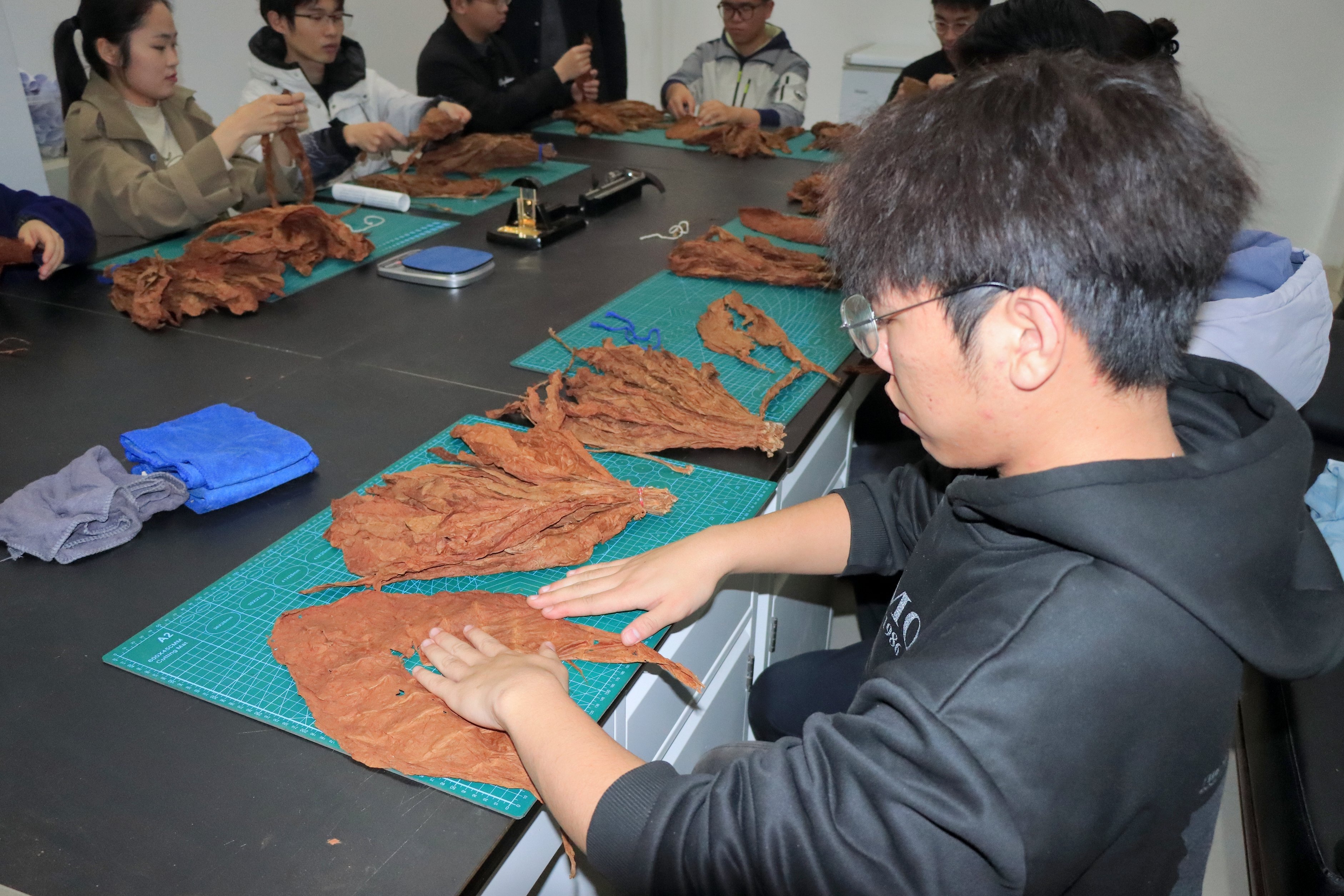 德州扑克小游戏