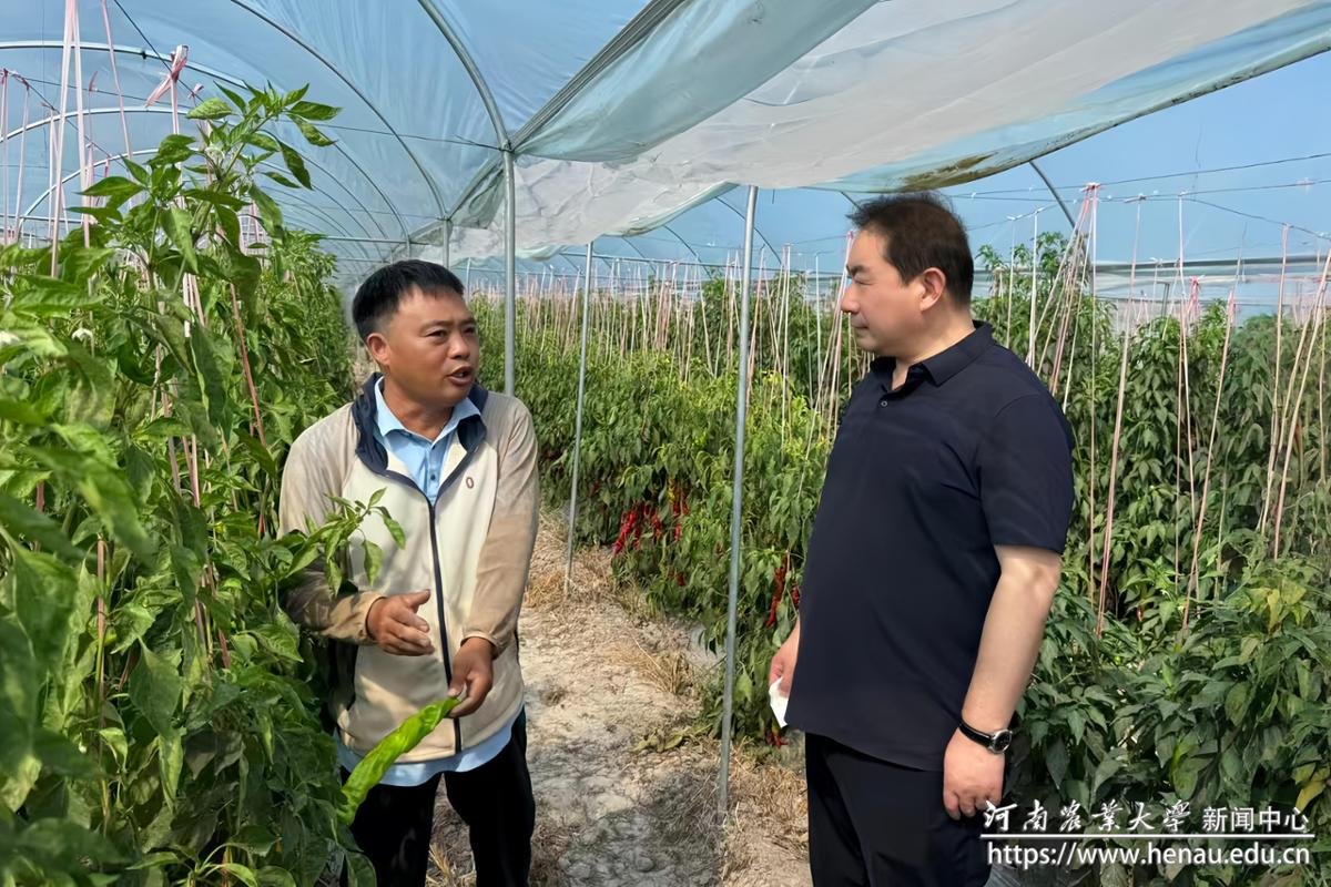 德州扑克小游戏