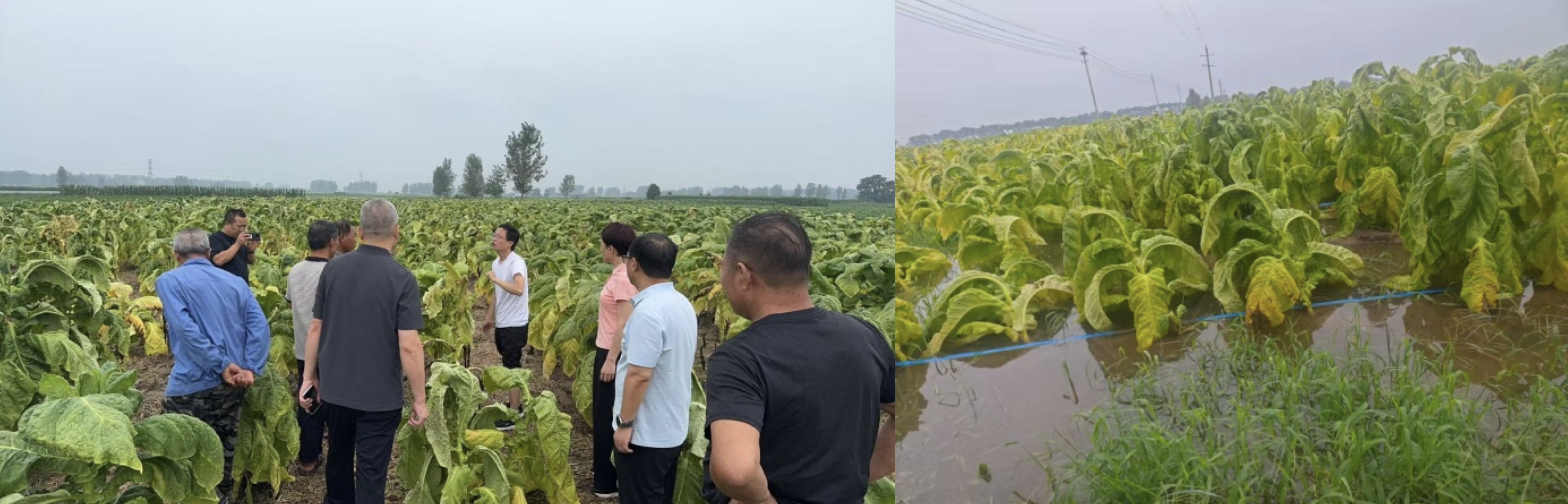 德州扑克小游戏
