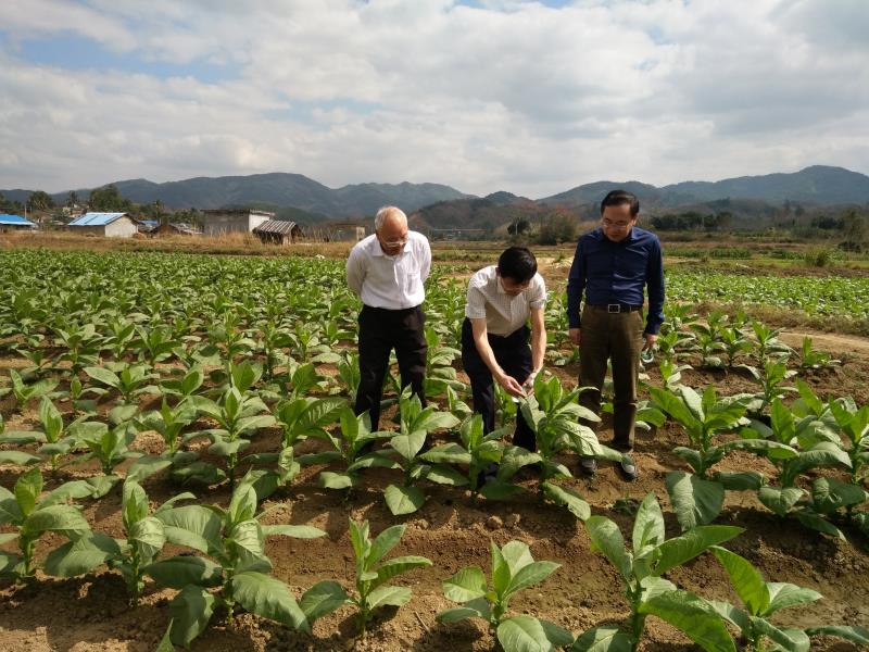 德州扑克小游戏