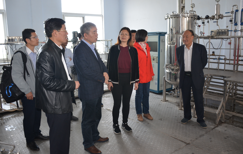 德州扑克小游戏