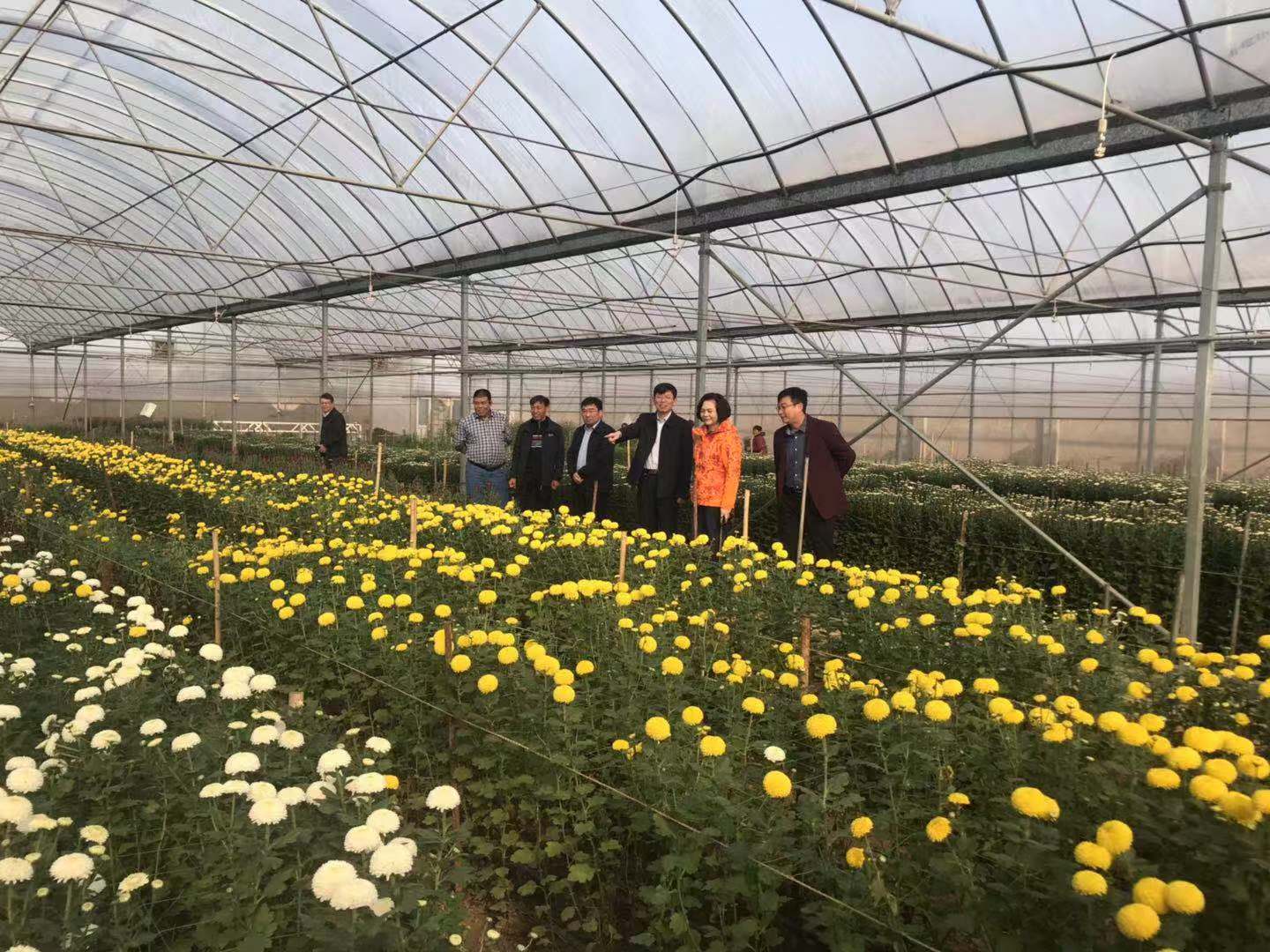 德州扑克小游戏