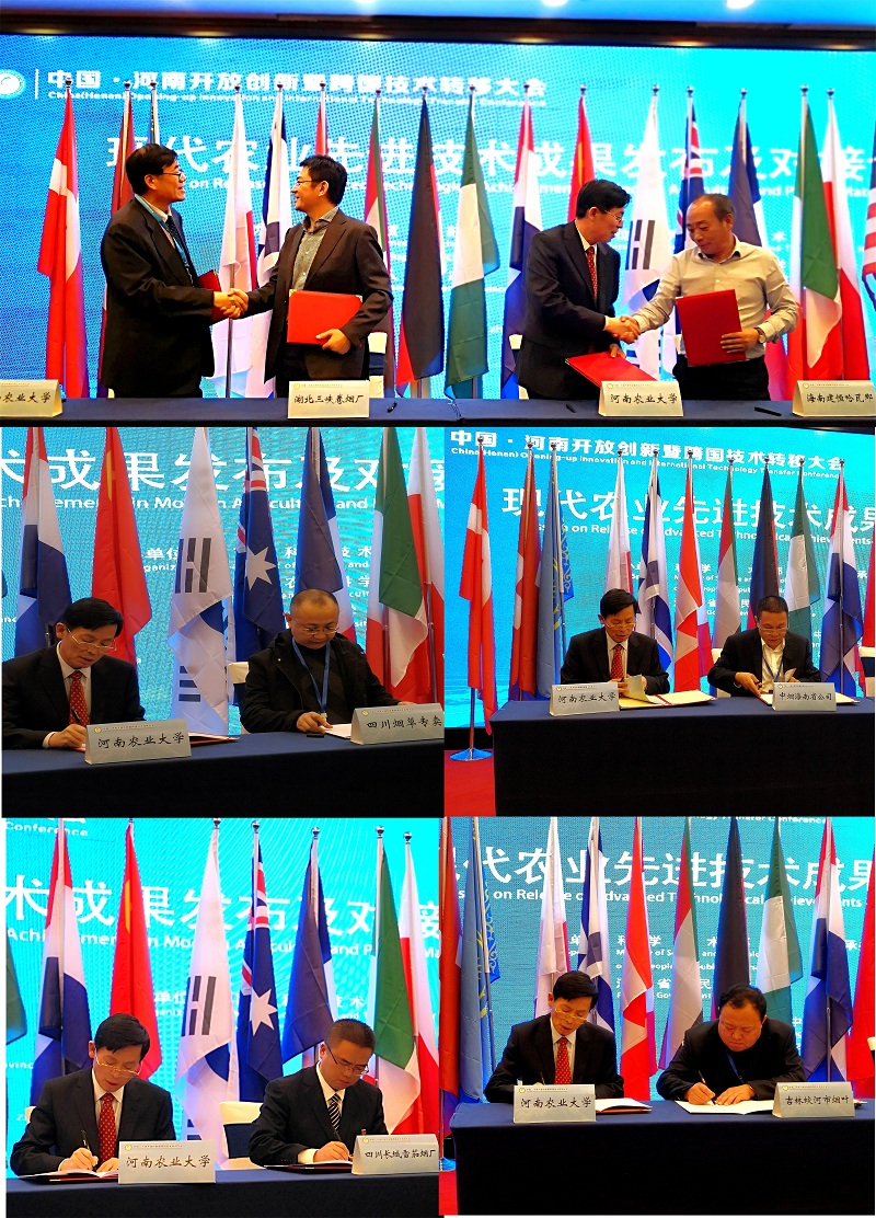 德州扑克小游戏