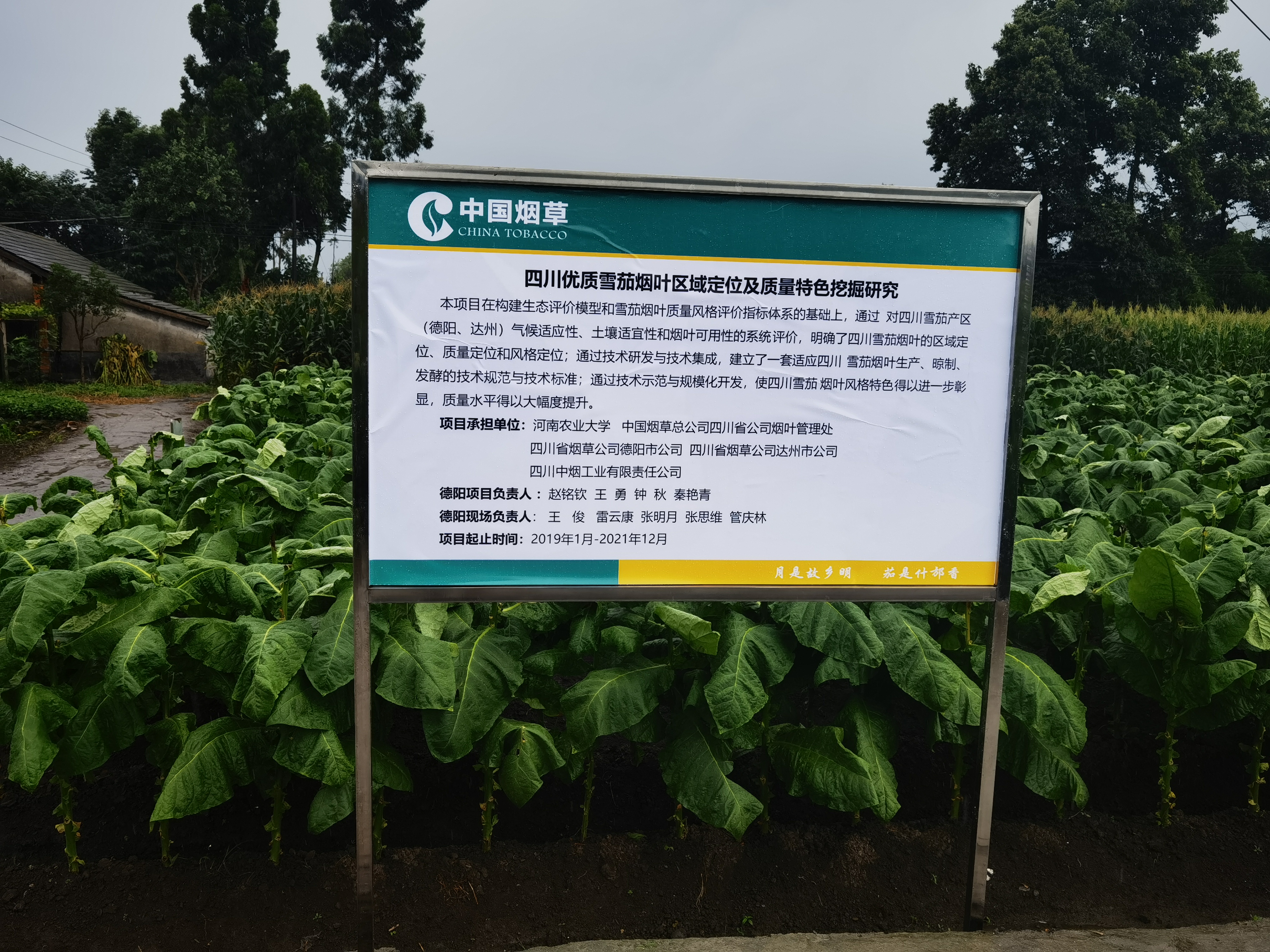 德州扑克小游戏