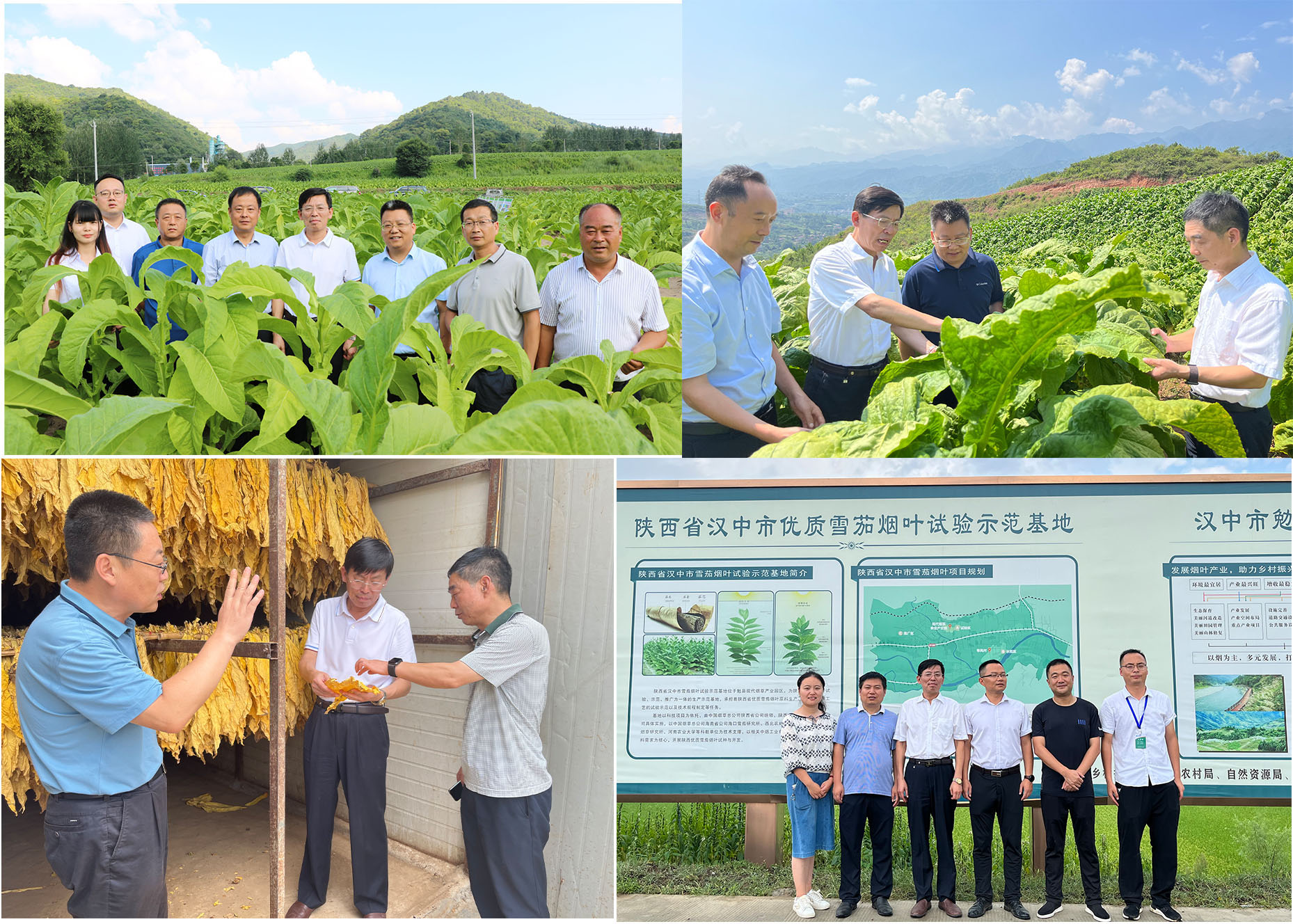 德州扑克小游戏