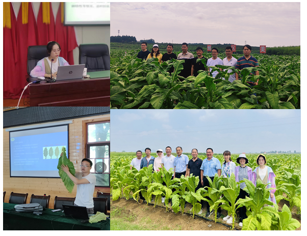 德州扑克小游戏