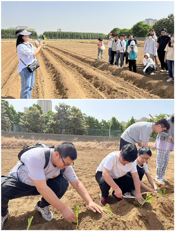 德州扑克小游戏