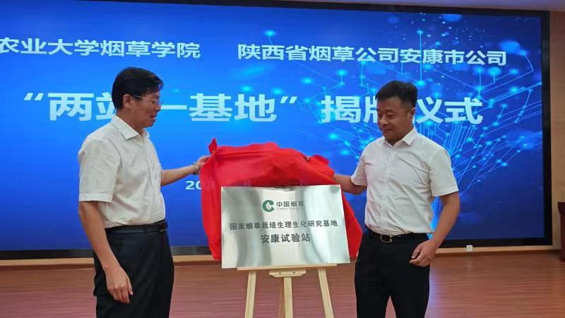 德州扑克小游戏