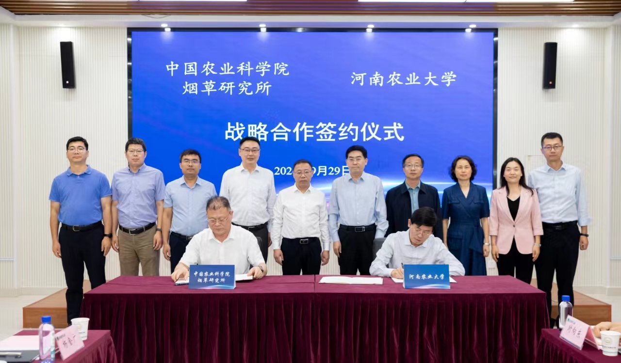 德州扑克小游戏