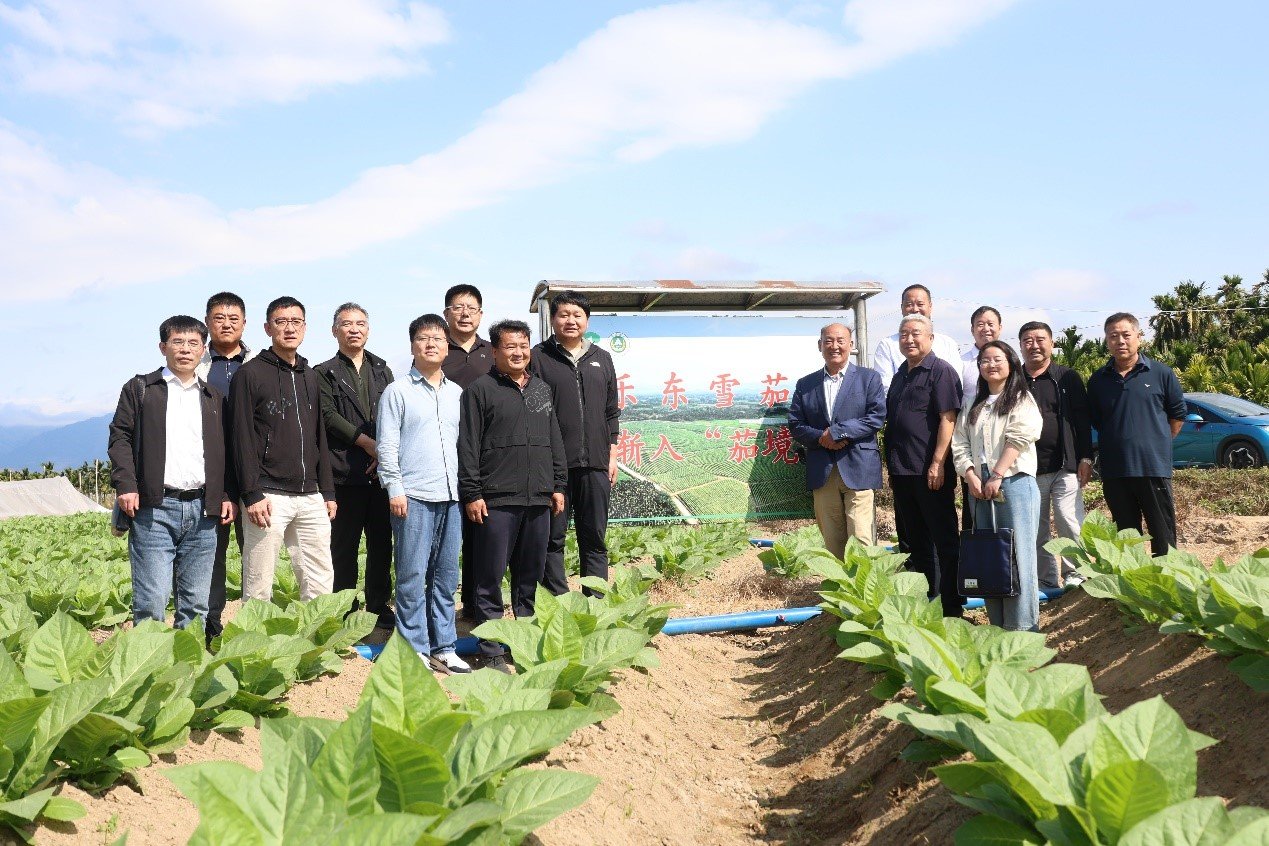 德州扑克小游戏