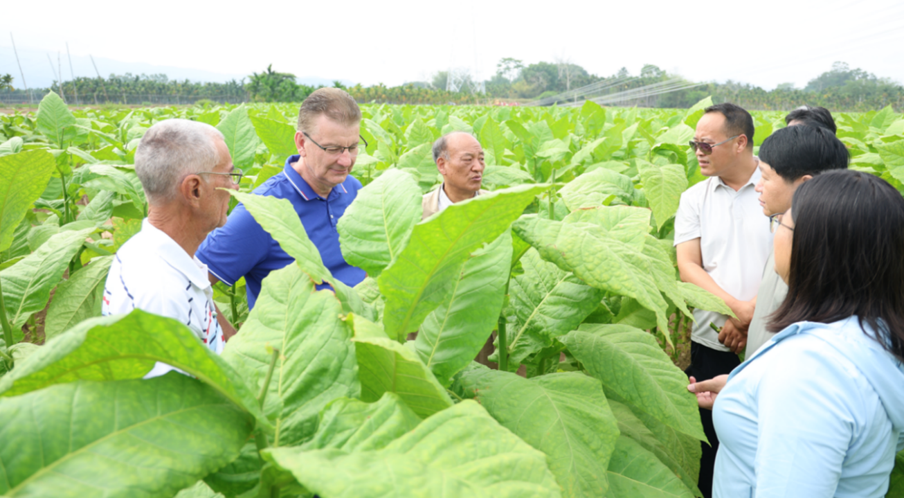 德州扑克小游戏