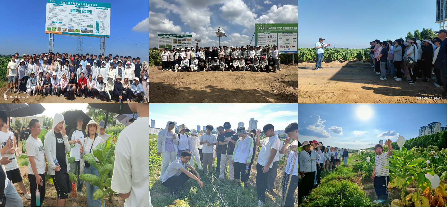 德州扑克小游戏