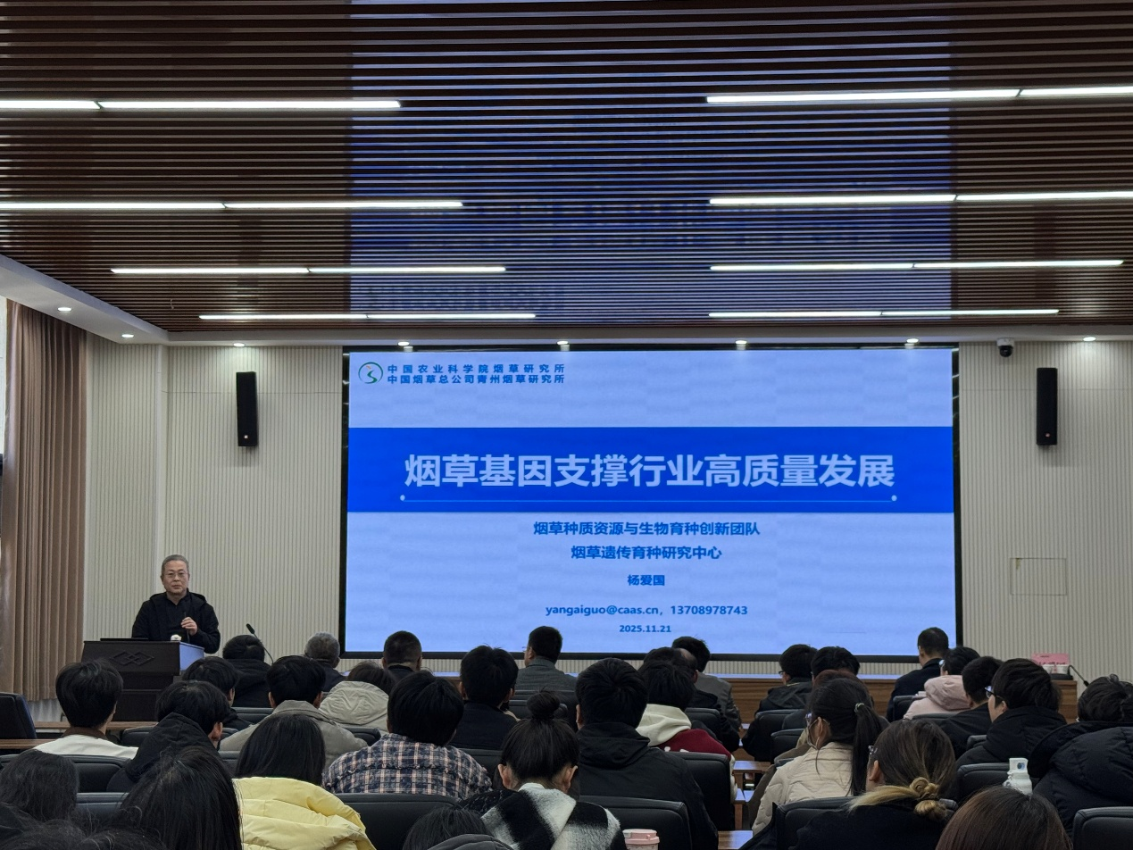 德州扑克小游戏