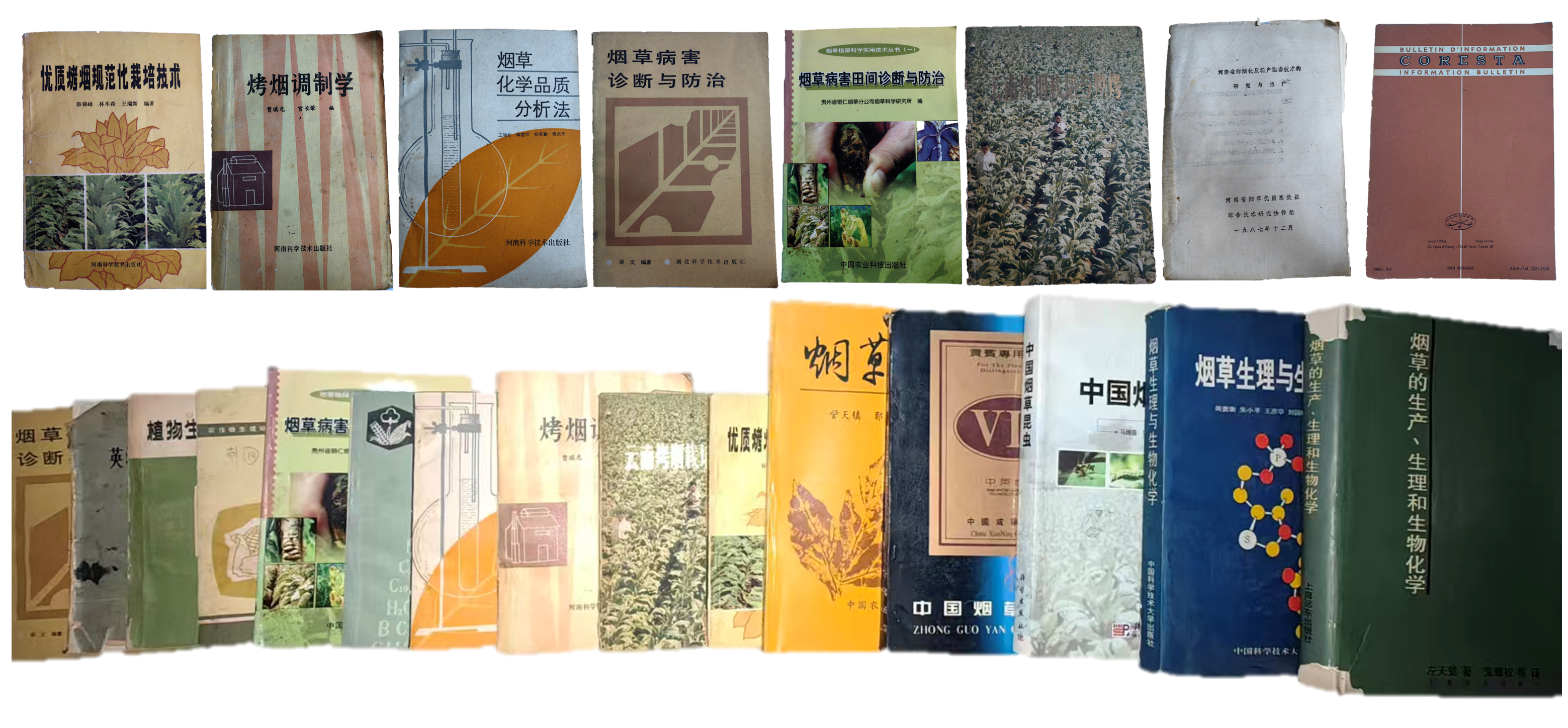 德州扑克小游戏