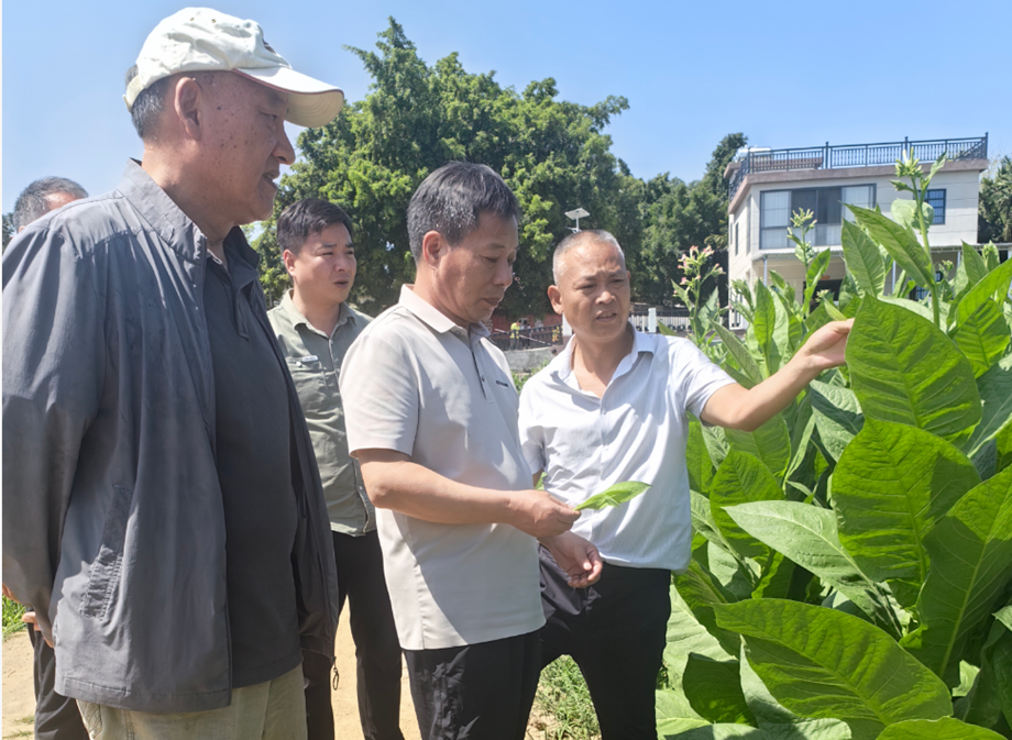 德州扑克小游戏