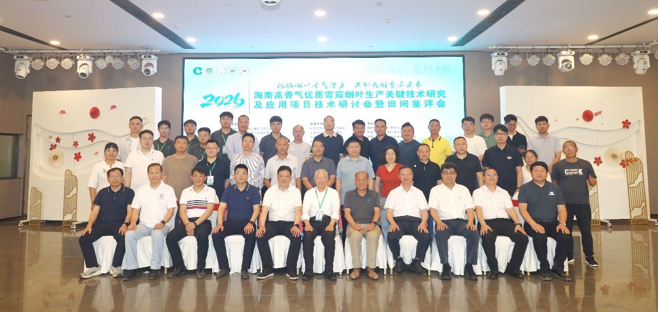 德州扑克小游戏