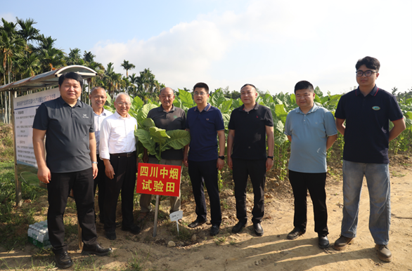 德州扑克小游戏