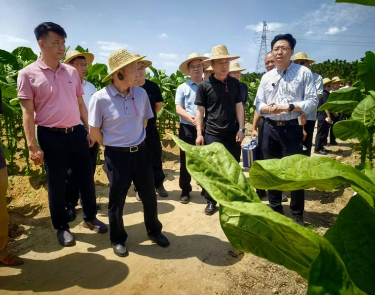 德州扑克小游戏