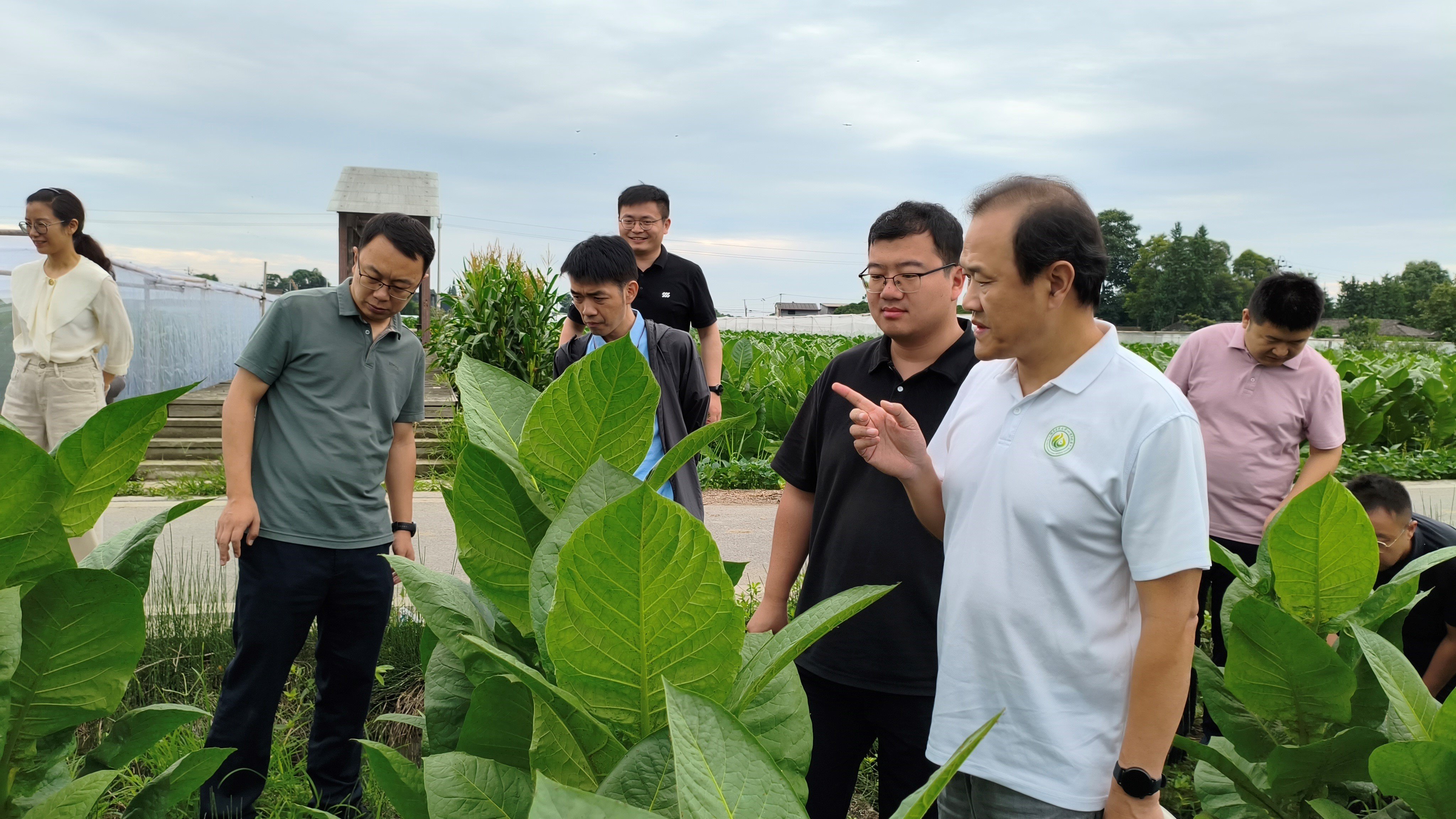 德州扑克小游戏